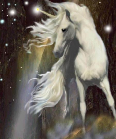une belle licorne