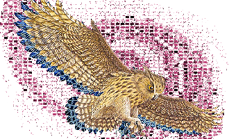 Aigleroyal