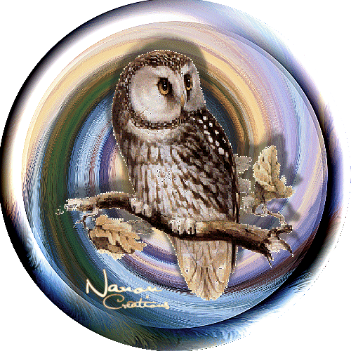 le hibou
