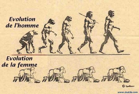 Voici l evolution de l homme  de la femme