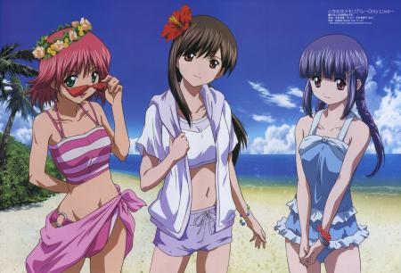 manga theme plage