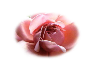 Bonne anniversaire Cristaline